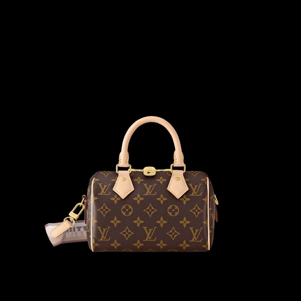Sac Speedy Louis Vuitton monogram marron